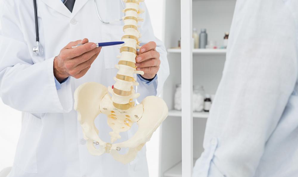 chiropractor in Rowland Heights discussing spine model with patient